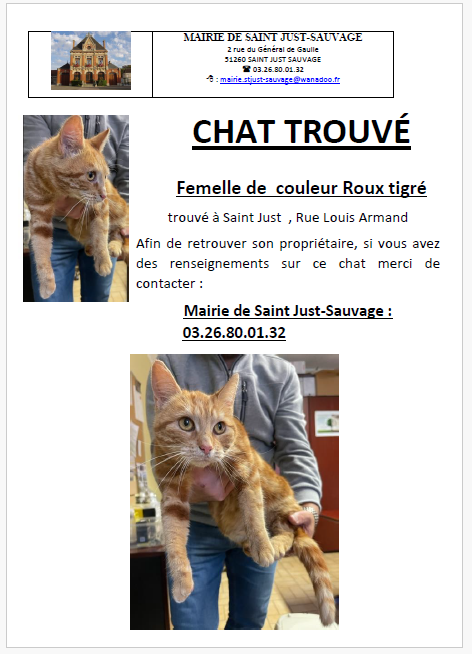 chat trouvé