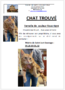 chat trouvé